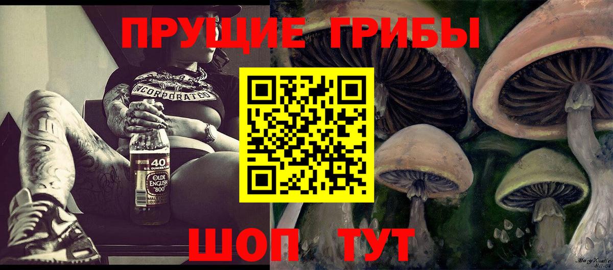 Псилоцибиновые грибы GOLDEN TEACHER  Вход с VPN  Орск 